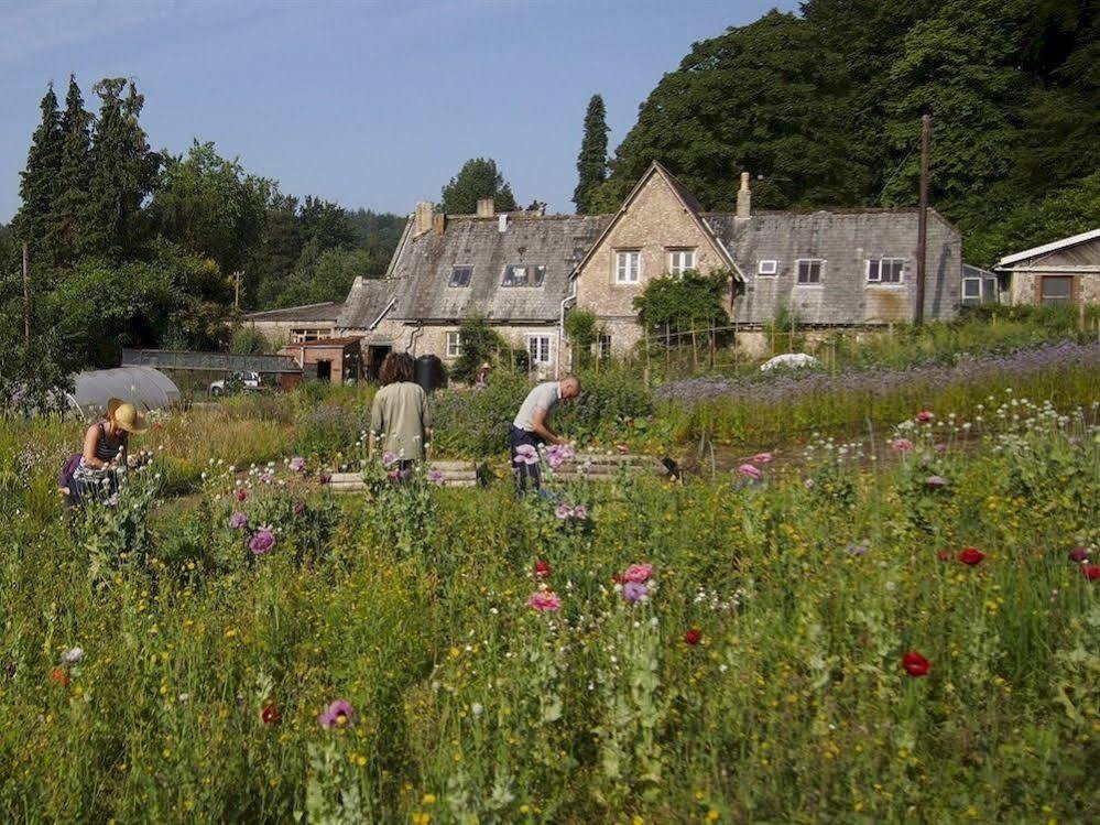 Monkton Wyld Court Lyme Regis