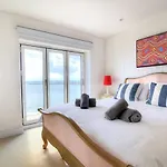 Seagull