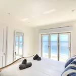 Seagull