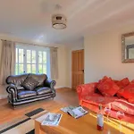 Springhill Cottage