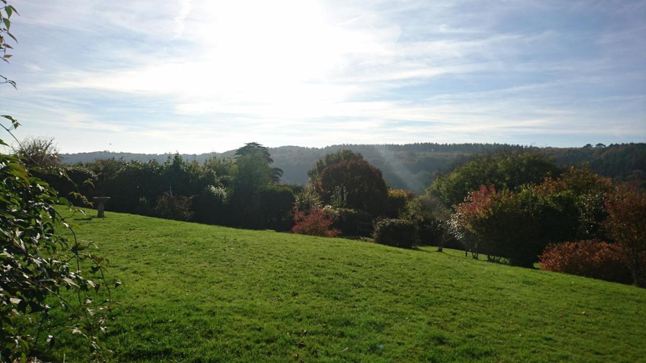 Nettle Bank Bed & Breakfast *