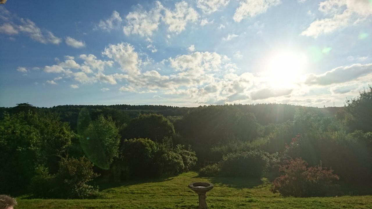 Nettle Bank *