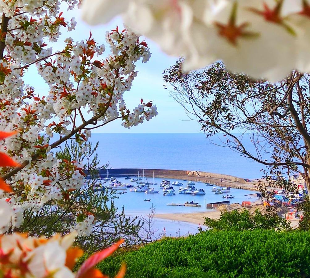Apartment Seabreeze Lyme Regis