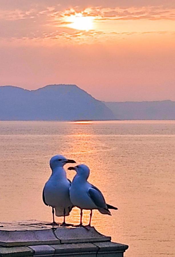 Apartment Seabreeze Lyme Regis