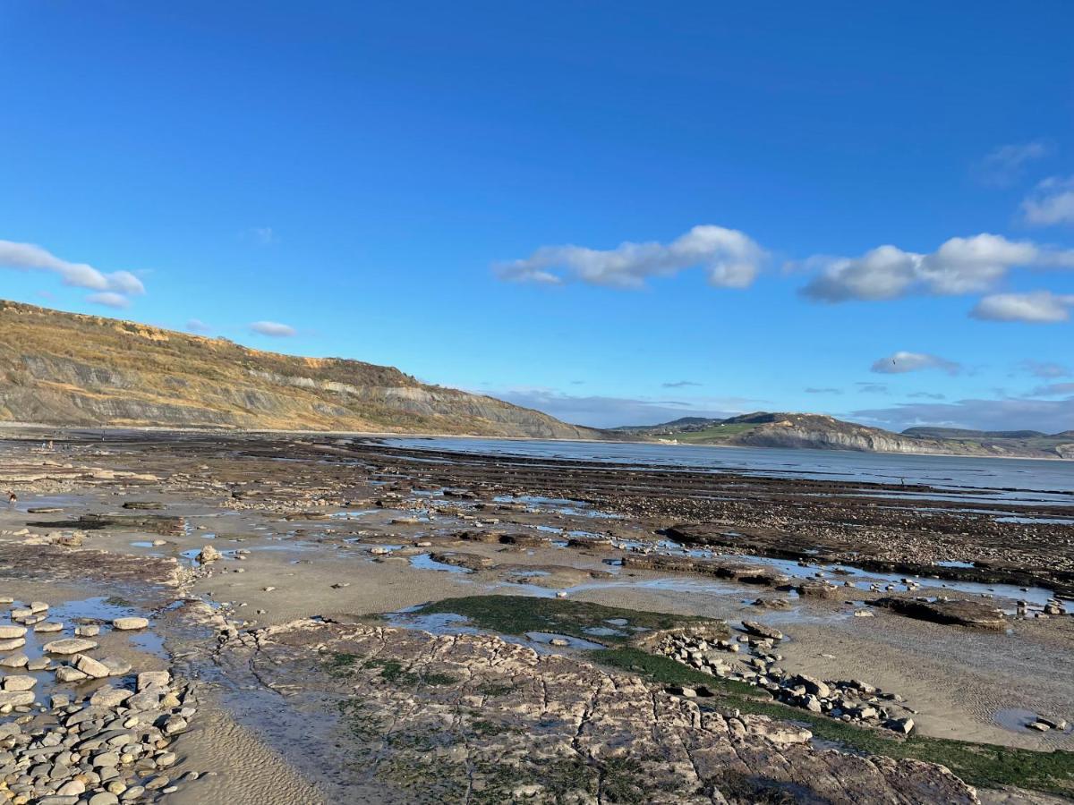 Nettle Bank Lyme Regis