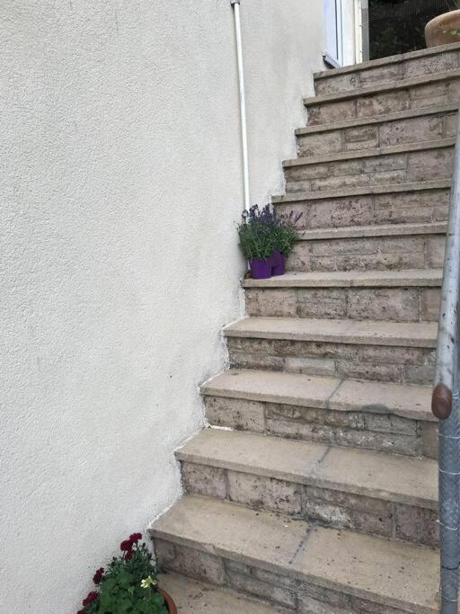 Large Which Is About Location, Location , Location ! Lovely Comfortable 2 Bedroom Flat Which Is Spacious And One Of The Value Of Size So Close To The Sea , Beaches And Restaurants 1 Min To The Sea ! * Lyme Regis