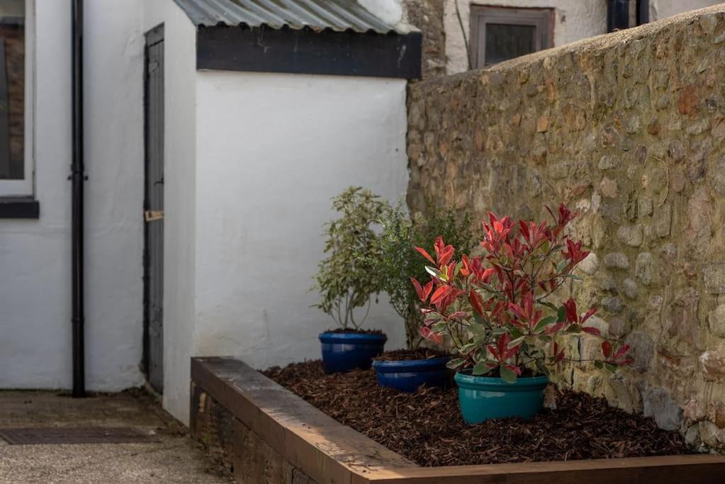 Seashells, Close To Seafront, Large Private Garden Apartment Lyme Regis
