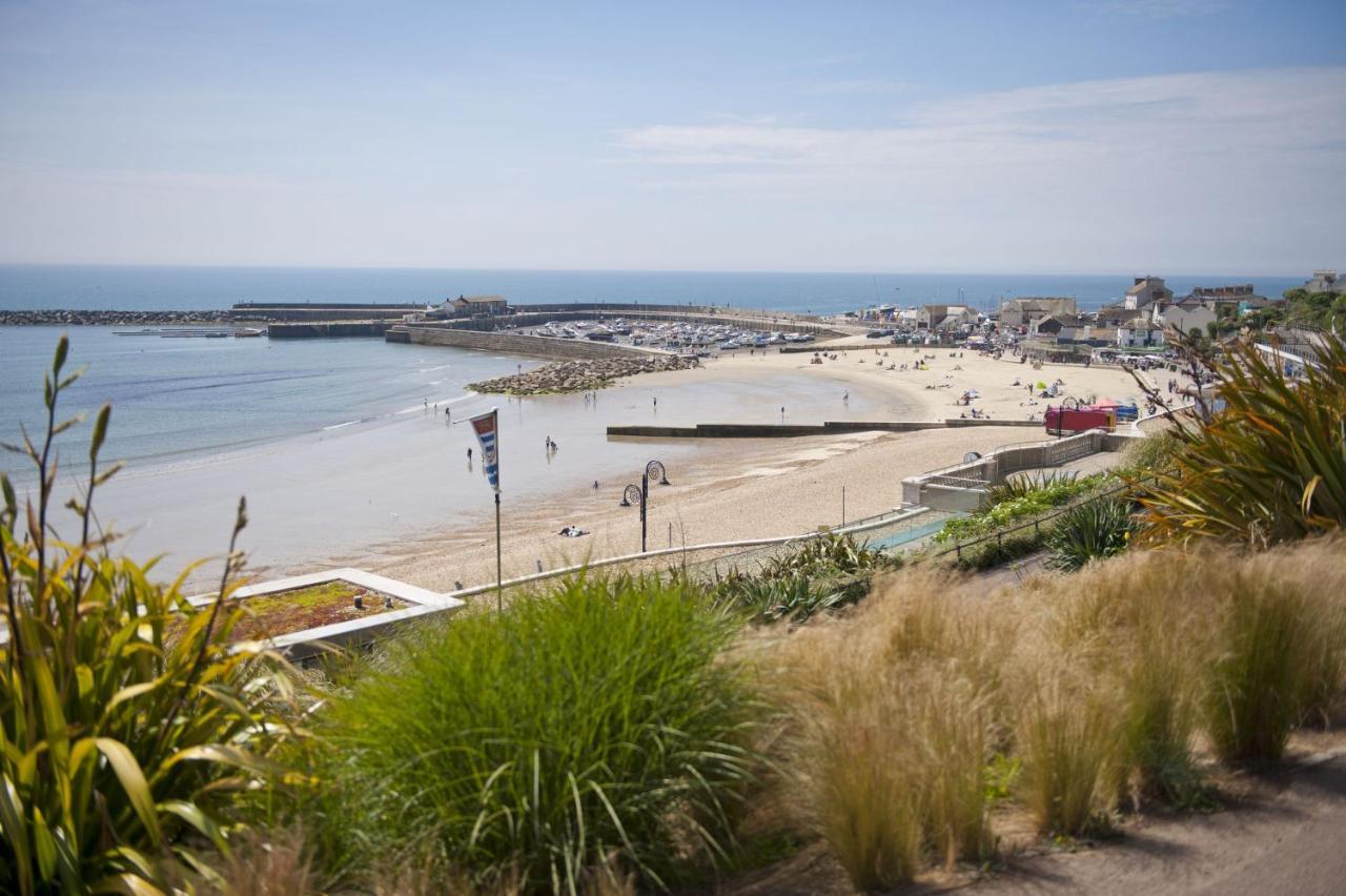 Lavender * Lyme Regis