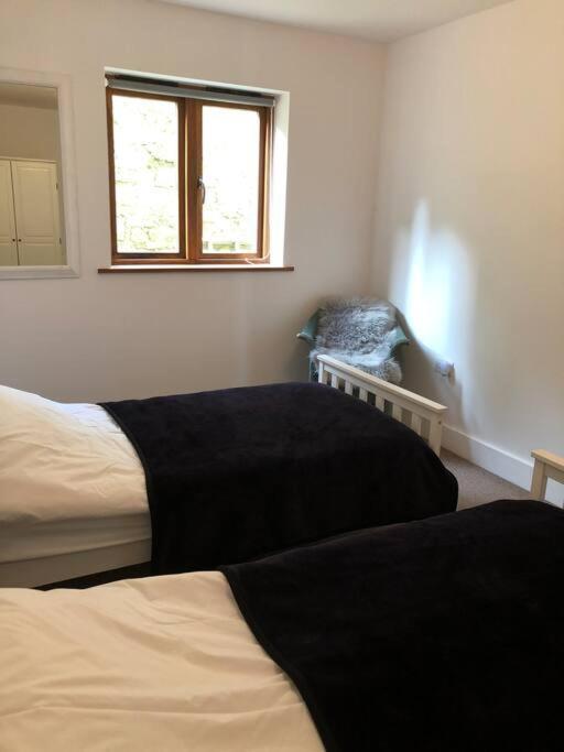 2 Dorset Mews Holiday home Lyme Regis