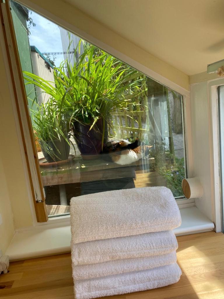 Lyme Clifftop Hideaway Apartment Lyme Regis