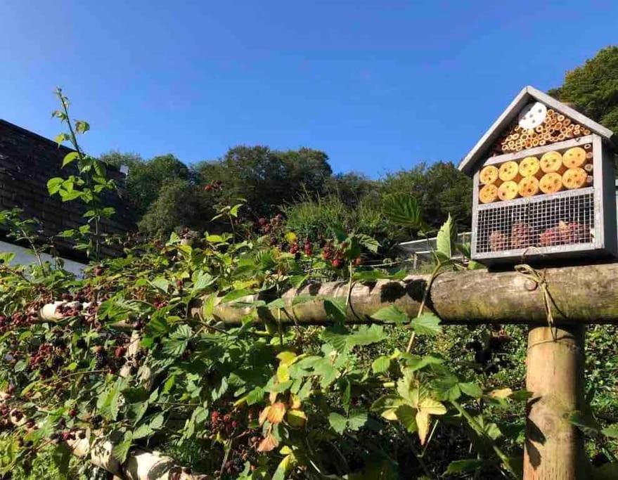 A Cosy Hideaway On The Jurassic Coast Lyme Regis