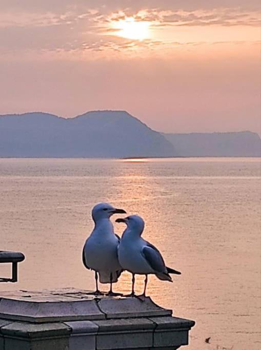 Holiday home Seabreeze Retreat With Parking And A Large Garden Lyme Regis