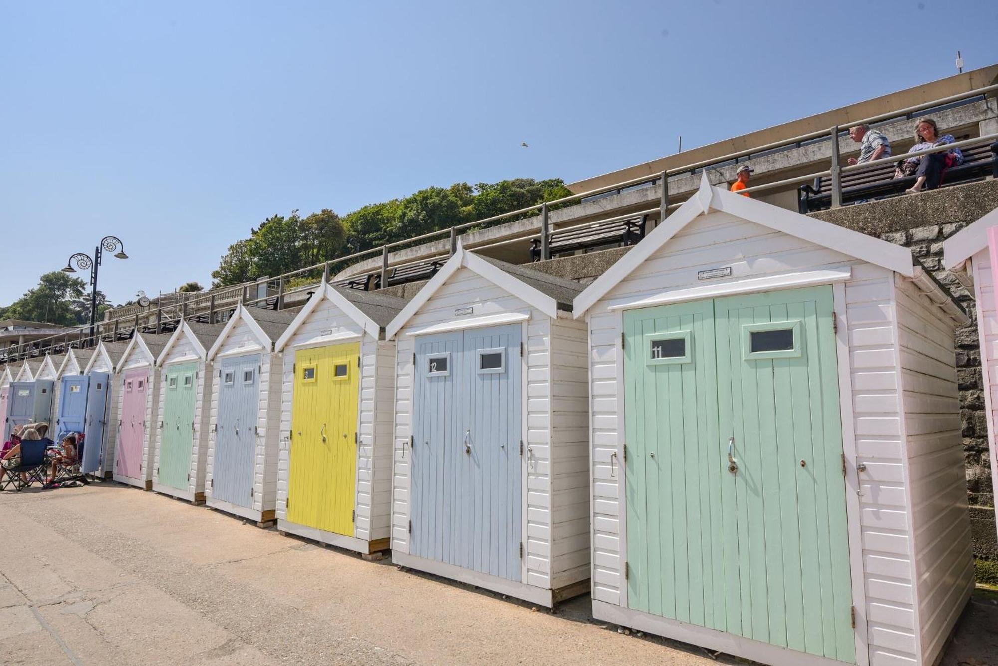 Holly Lyme Regis