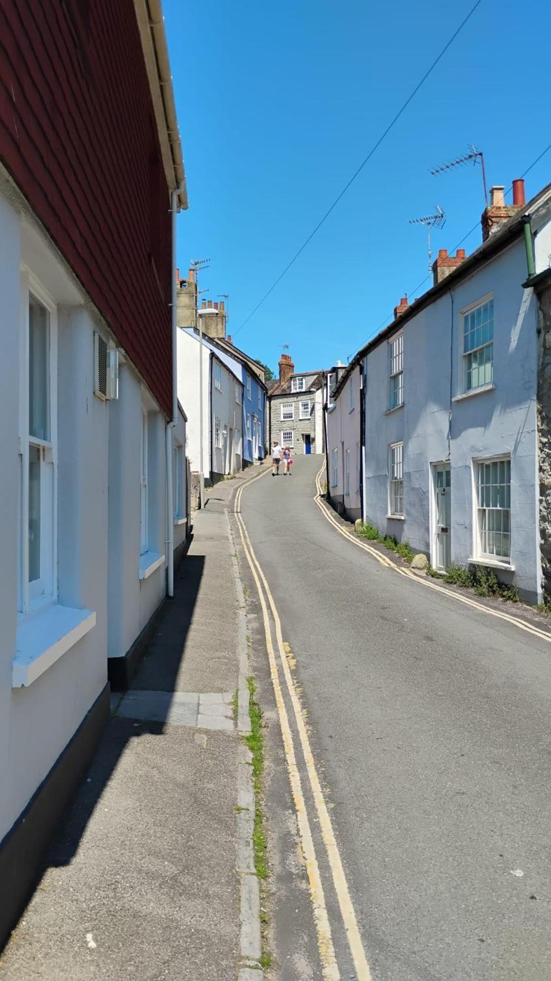 Dove Lyme Regis