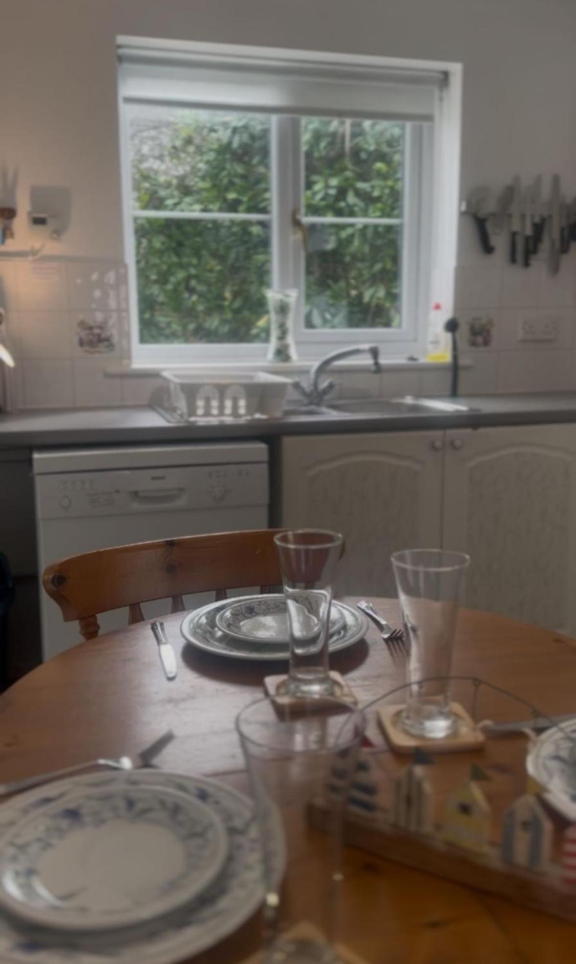 Dove Holiday home