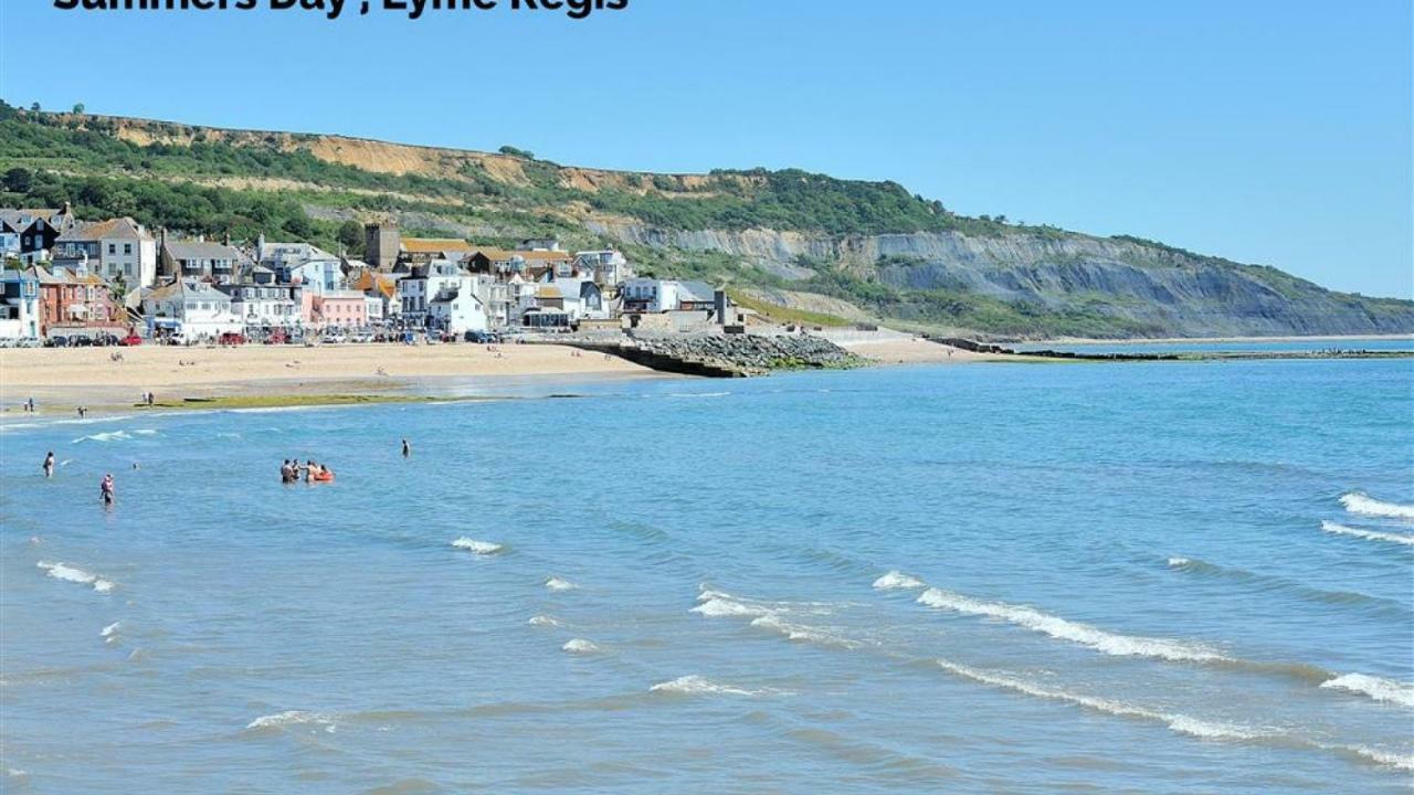 The At Queen Anne's Apartment Lyme Regis