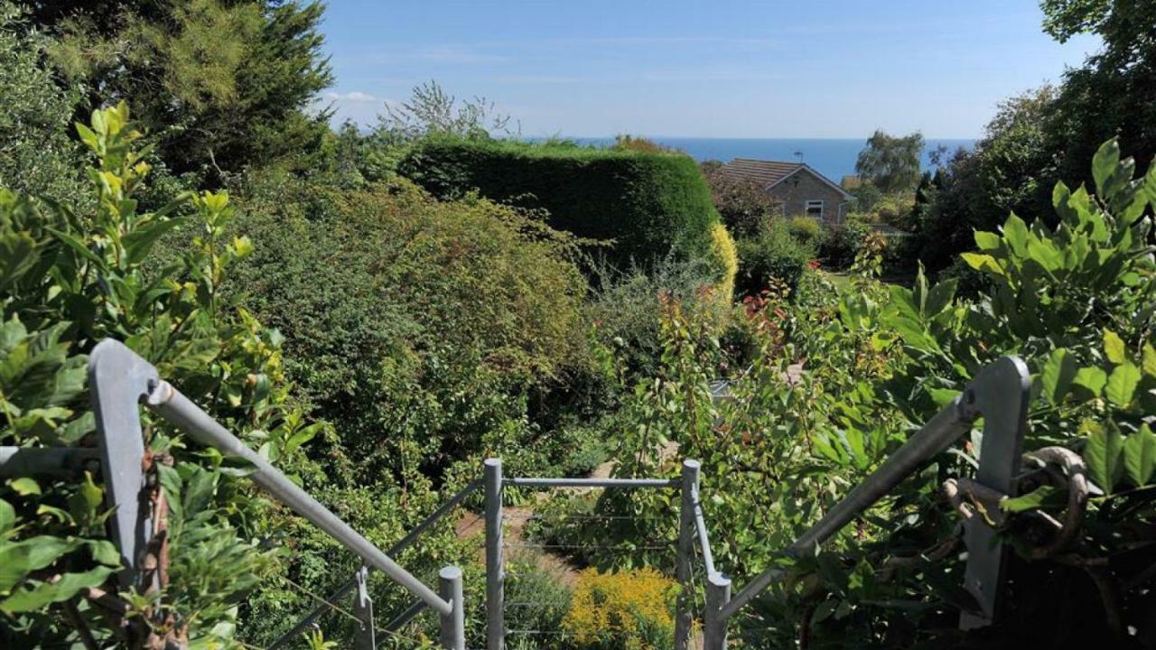 Little West Hill * Lyme Regis