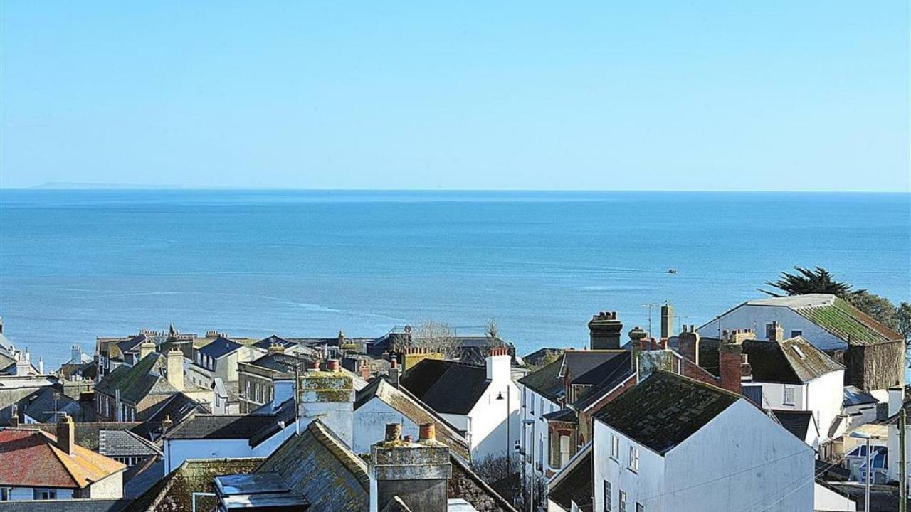 Barnacles * Lyme Regis