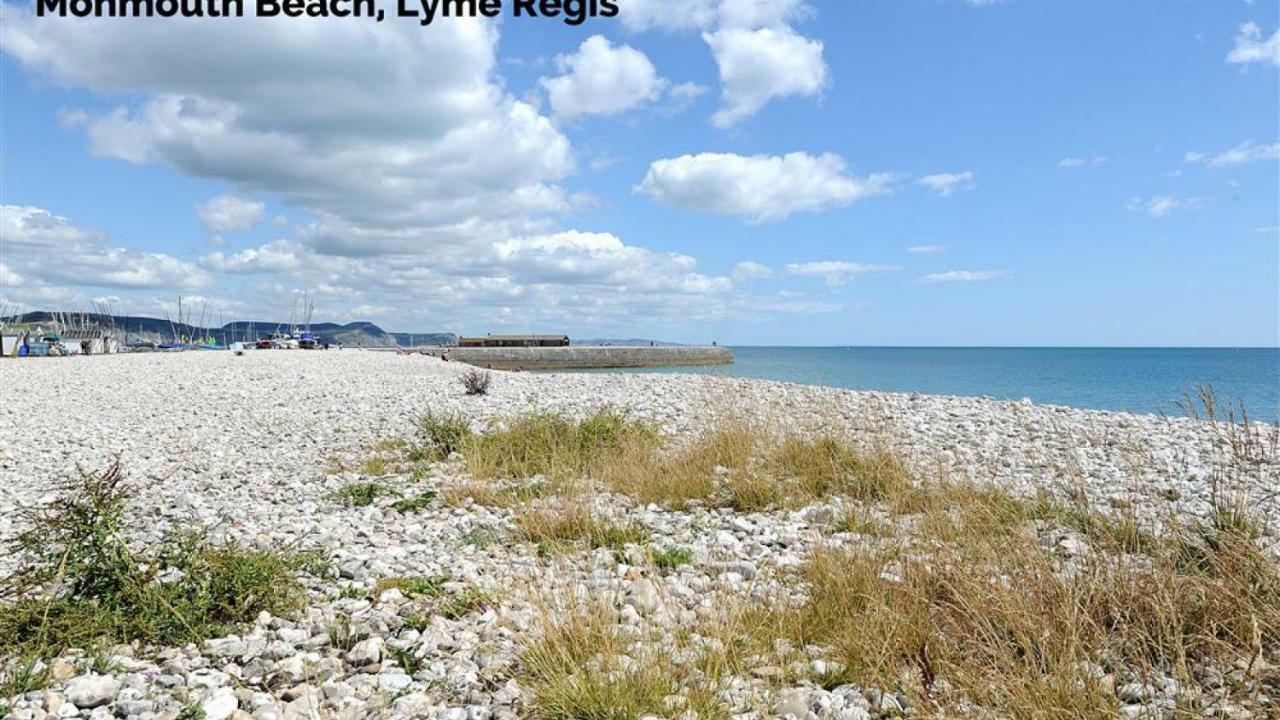 Seascape Lyme Regis