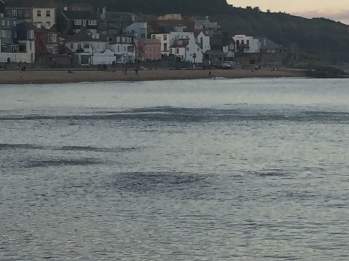 Little Monmouth 4 Bedroom Cottage, Old Town Lyme Regis, Dog Friendly And Parking * Lyme Regis