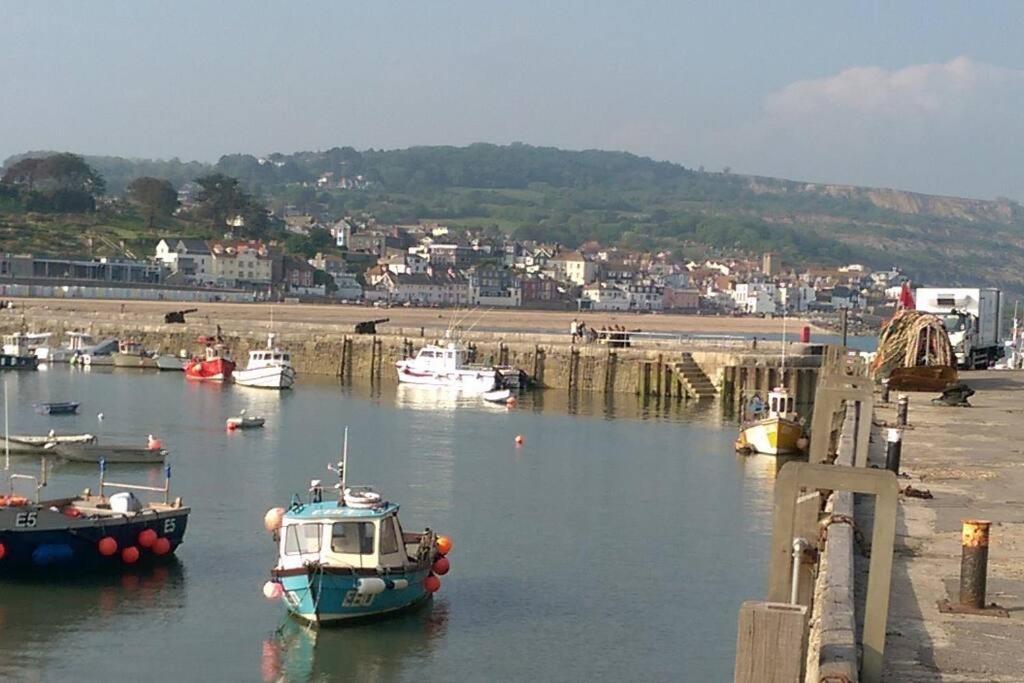 Private Apartment, Parking, Sea And Country Views Apartment Lyme Regis
