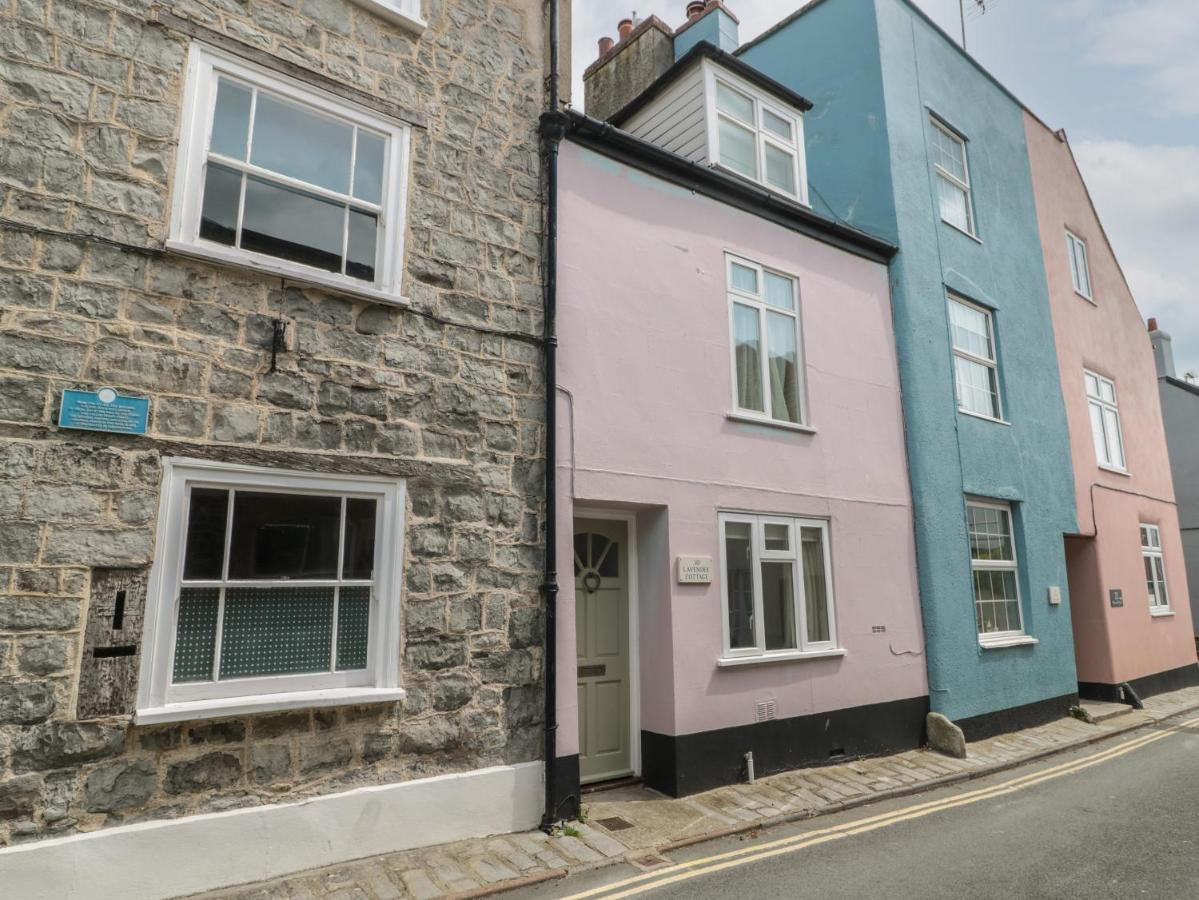 Lavender Lyme Regis