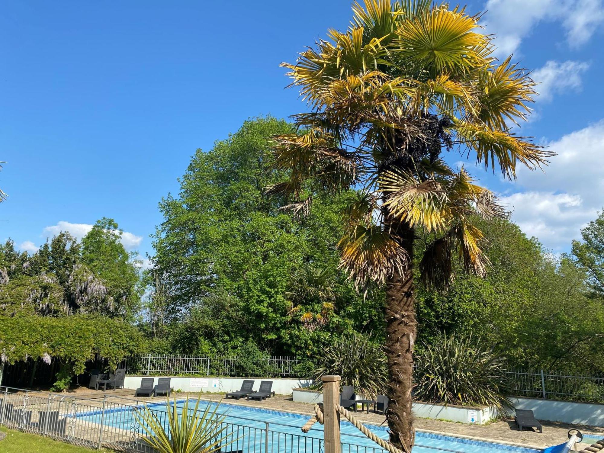 Hotel Fernhill 3*